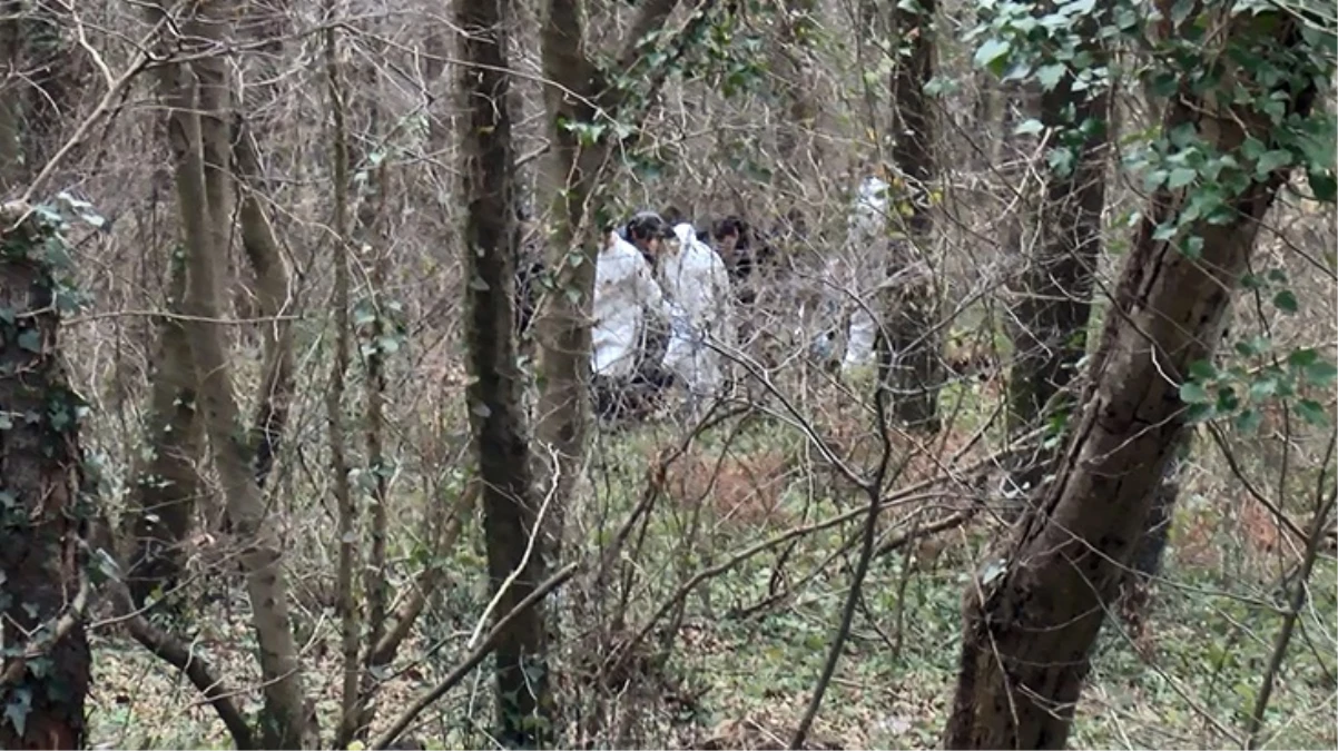 Sarıyer'de Çıplak Halde Ağaca Bağlanmış Erkek Cesedi Bulundu