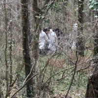Sarıyer'de Çıplak Halde Ağaca Bağlanmış Erkek Cesedi Bulundu
