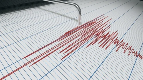 4.1 Büyüklüğündeki Deprem Sonrası Bakan Yerlikaya ve Koca'dan Açıklama